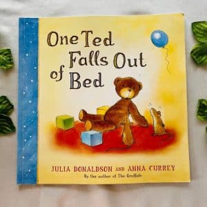 One Ted Falls Out of Bed Picture Story Book By Julia Donaldson