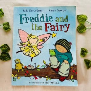 Freddie and the Fairy Picture Story Book