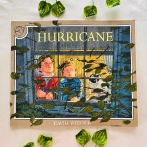 Hurricane Picture Story Book