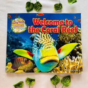 Welcome to the Coral Reef