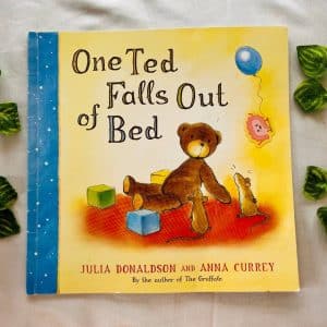 One Ted Falls Out of Bed Picture Story Book by Julia Donaldson