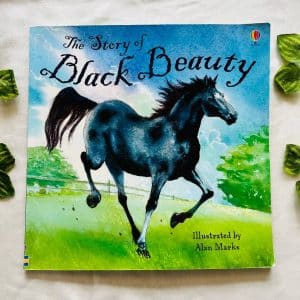 The Story of Black Beauty Picture Story Book
