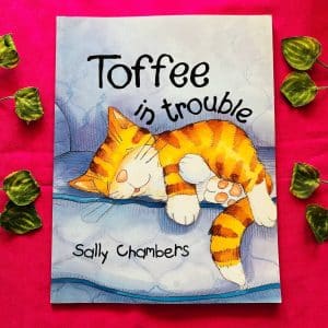Toffee in Trouble Picture Story Book
