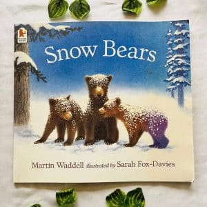Snow Bears Picture Story Book