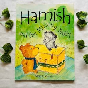 Hamish and the Missing Teddy Picture Story Book