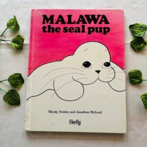 Malawa the seal pup
