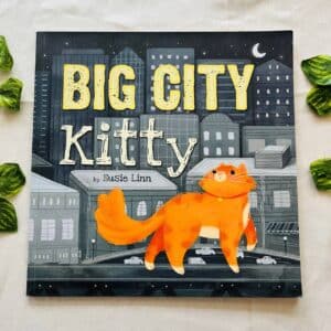 Big City Kitty: Picture Story Book