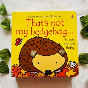 Usborne Touchy Feely Book: That's Not My Hedgehog
