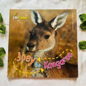 Joey to Kangaroo