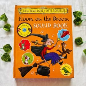 Room on the Broom by Julia Donaldson: Sound Book with touchpoints on all pages