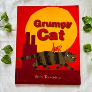 Grumpy Cat: Picture Story Book