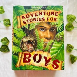 Adventure Stories for Boys by Miles Kelly