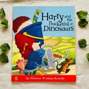 Harry and the Bucketful of Dinosaurs: Picture Story Book