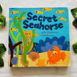 Secret Seahorse: Board Book