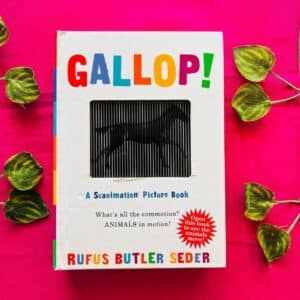 Gallop! A Changing Picture Book