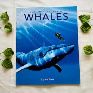 Our Amazing World Whales