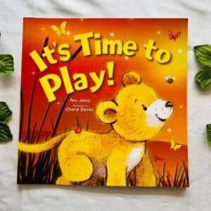 It's Time To Play! Picture Story Book