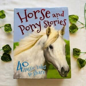 Horse And Pony Stories