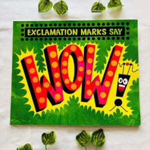 Wow! Picture Story Book