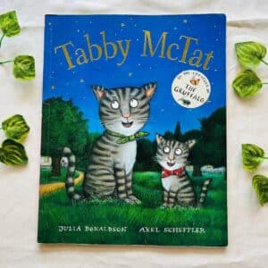 Tabby Mctat By Julia Donaldson