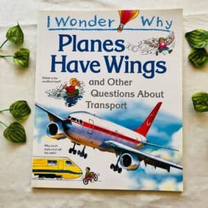 I Wonder Why Planes Have Wings