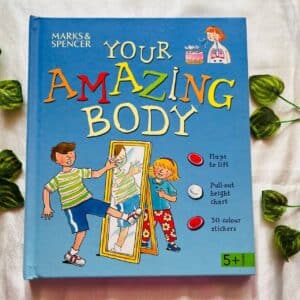 Your Amazing Body A Lift-the-Flap Book