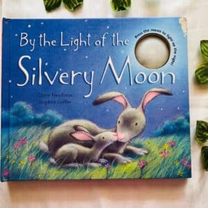 By The Light Of The Slivery Moon: Light Book