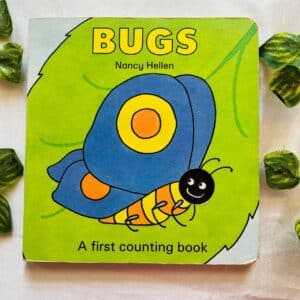 Bugs A First Counting Board Book