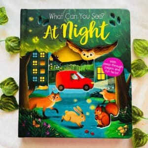 What Can You See At Night: Board Book With Peep-Through Pages