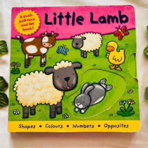 Little Lamb: Large Push-Pull-Turn And Lift Board Book