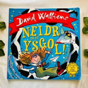 Neider Yn Yr Yegol! Picture Story Book (foreign Language)