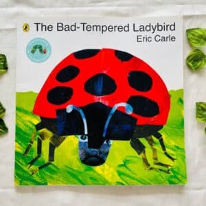 The Bad-Tempered Ladybird: Picture Story Book