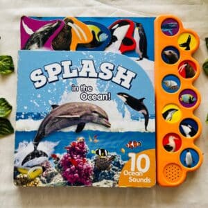 Splash In The Ocean! Sound Book