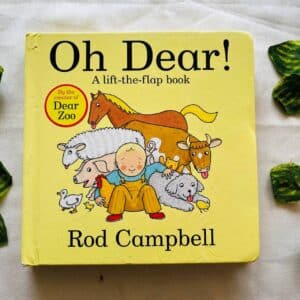 Oh Dear! A Lift-the-Flap Board Book