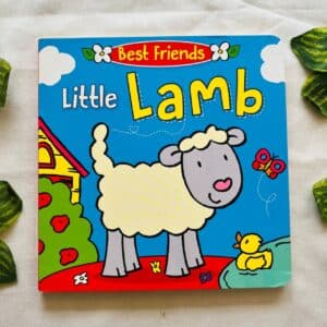 Little Lamb: Board Book