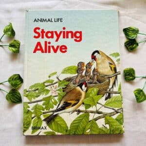 Staying Alive