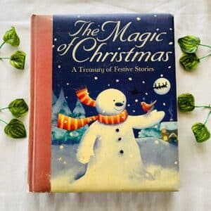 The Magic Christmas