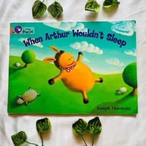 When Arthur Wouldn't Sleep: Picture Story Book