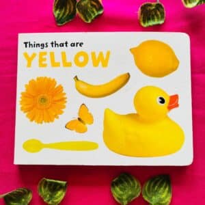 Things That Are Yellow: Board Book
