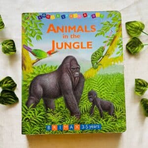 Animals in The  Jungle: Board Book