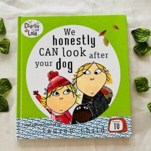 We Honesty Can Look After Your Dog