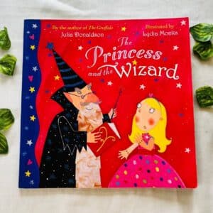 The Princess And The Wizard By Julia Donalson