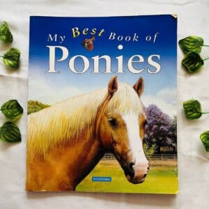 My Best Book Of Ponies