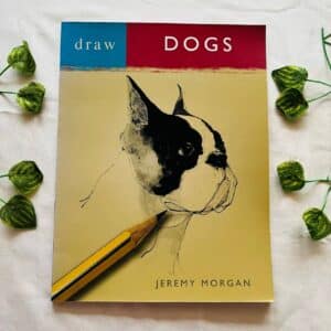 Dogs