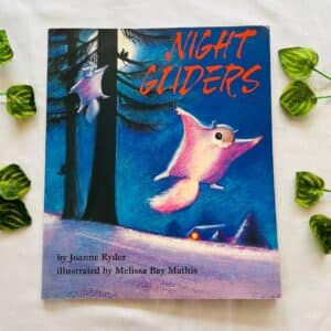 Night Gliders: Picture Story Book