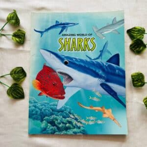 Amazing World Of Sharks