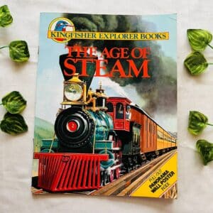 The Age Of Steam