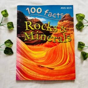 100 Facts Rocks & Minerals