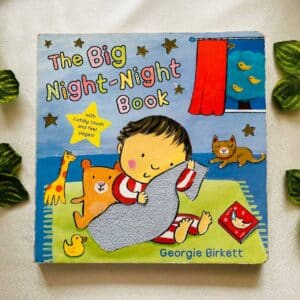 The Big Night-Night Book: Touch and Feel Board Book