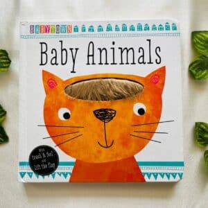 Baby Animals: Touch & Feel and Lift the Flap